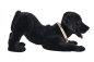 Preview: Labrador 28 cm springende Position mit Wackelkopf
