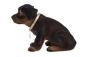 Preview: Wackelhund Rottweiler 28 cm sitzend